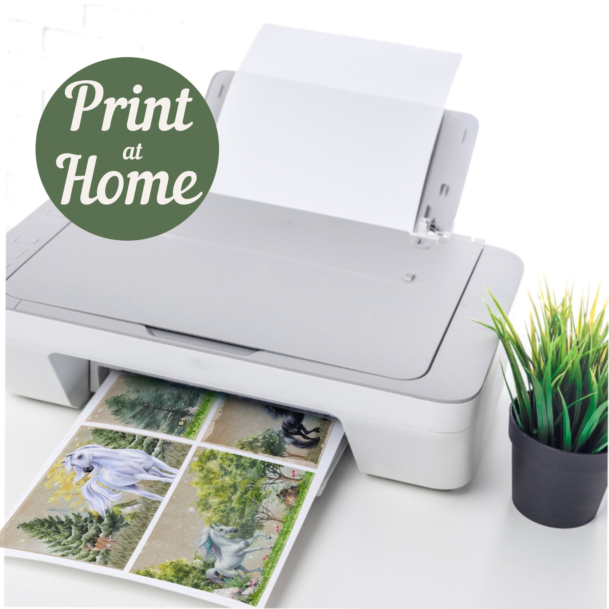 White printer on a white surface with printed images and a plant, featuring 'Print at Home' text.