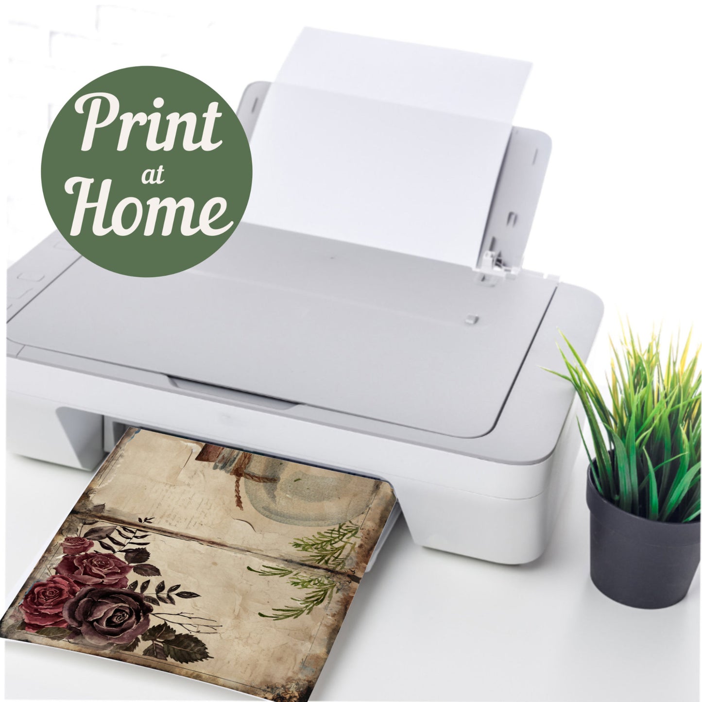 White printer on a desk with a printed design and a plant, featuring 'Print at Home' text.